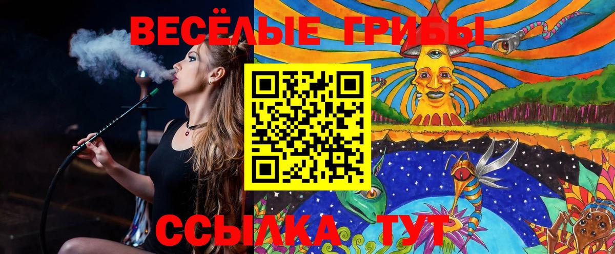 Горно-Алтайск  Галлюциногенные грибы MAGIC MUSHROOMS  Вход с VPN 